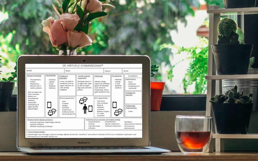 'Geld verdienen met de virtuele eenmanszaak' door Tony de Bree